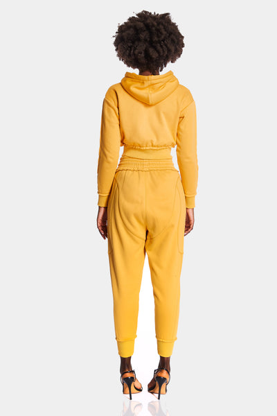 Amber Cropped Hoodie